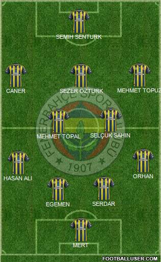Fenerbahçe SK Formation 2013