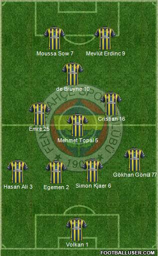 Fenerbahçe SK Formation 2013