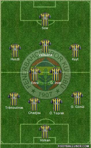 Fenerbahçe SK Formation 2013