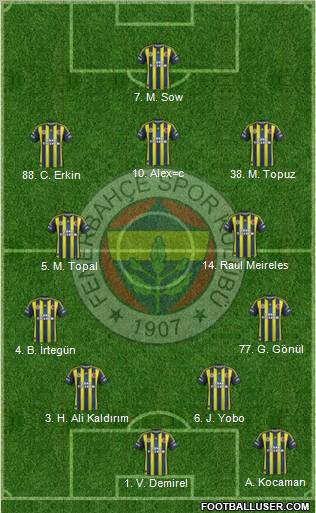 Fenerbahçe SK Formation 2013