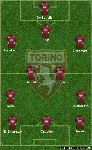 Torino Formation 2013