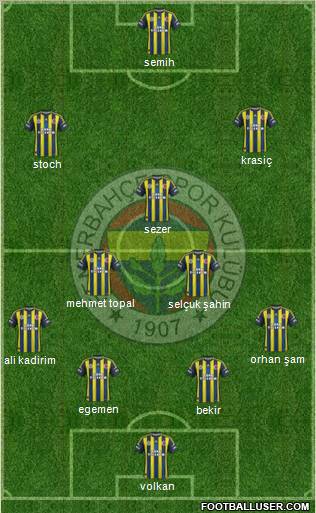 Fenerbahçe SK Formation 2013
