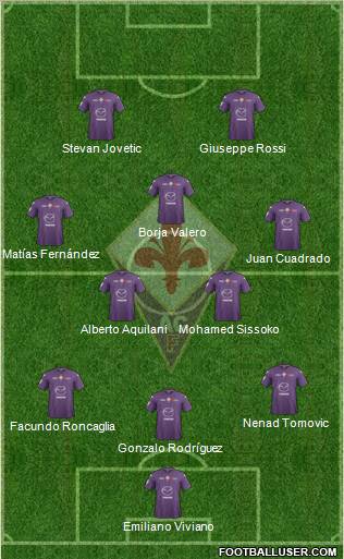 Fiorentina Formation 2013