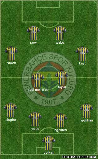 Fenerbahçe SK Formation 2013