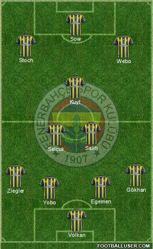 Fenerbahçe SK Formation 2013
