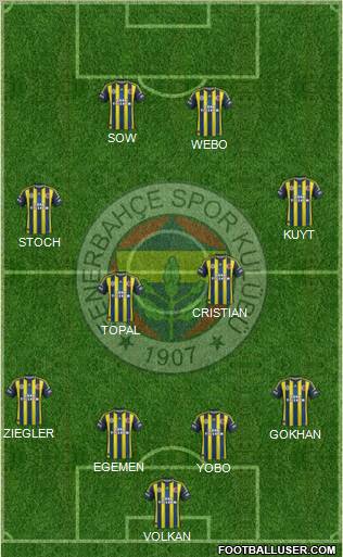 Fenerbahçe SK Formation 2013