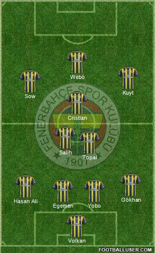 Fenerbahçe SK Formation 2013