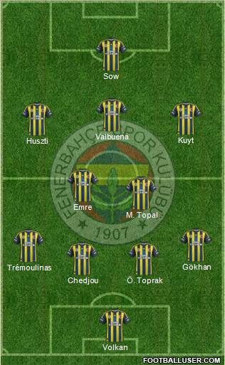 Fenerbahçe SK Formation 2013