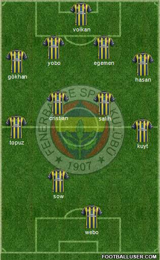 Fenerbahçe SK Formation 2013