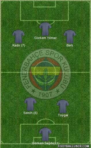 Fenerbahçe SK Formation 2013