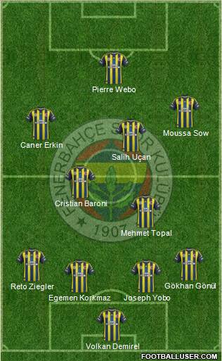 Fenerbahçe SK Formation 2013