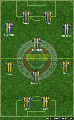 Fenerbahçe SK Formation 2013