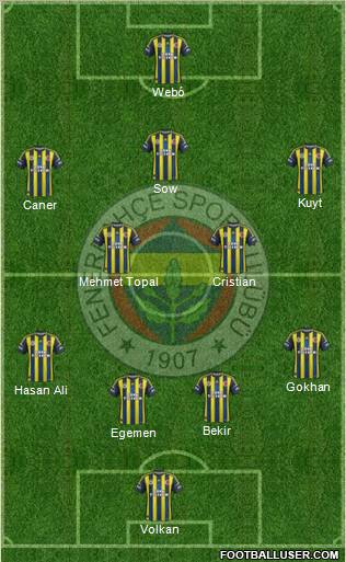 Fenerbahçe SK Formation 2013
