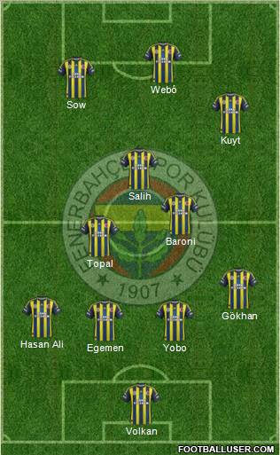 Fenerbahçe SK Formation 2013