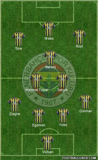 Fenerbahçe SK Formation 2013