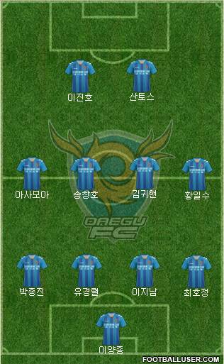 Daegu FC Formation 2013