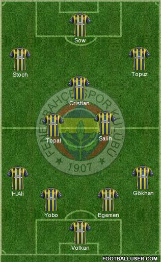 Fenerbahçe SK Formation 2013