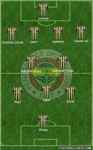 Fenerbahçe SK Formation 2013
