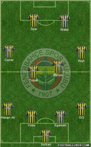 Fenerbahçe SK Formation 2013