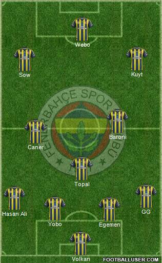 Fenerbahçe SK Formation 2013