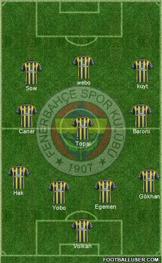 Fenerbahçe SK Formation 2013