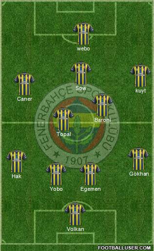 Fenerbahçe SK Formation 2013