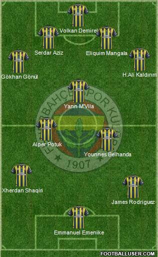 Fenerbahçe SK Formation 2013