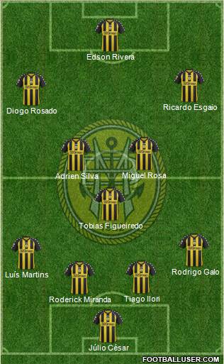 Sport Clube Beira-Mar Formation 2013