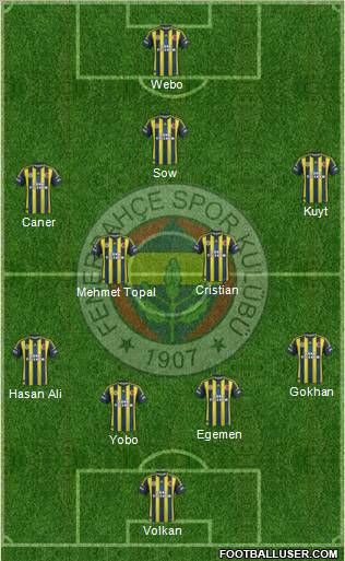 Fenerbahçe SK Formation 2013