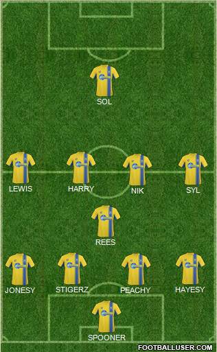 Torquay United Formation 2013