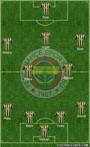 Fenerbahçe SK Formation 2013