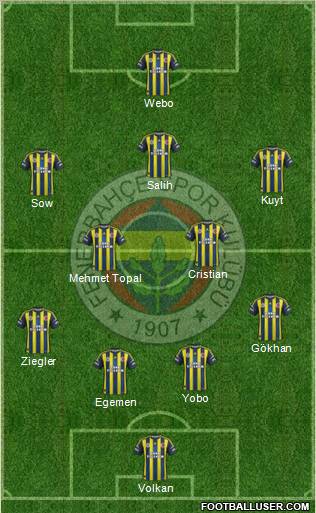 Fenerbahçe SK Formation 2013