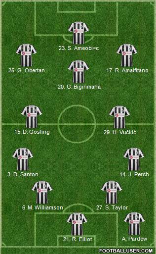 Newcastle United Formation 2013