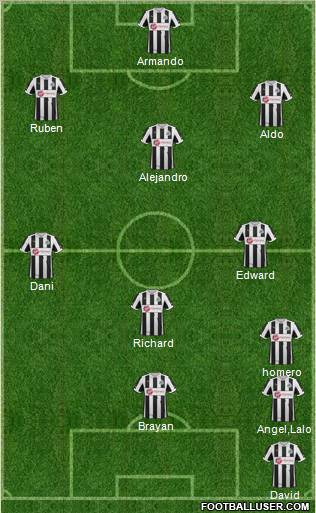Newcastle United Formation 2013