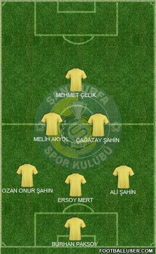 Sanliurfaspor Formation 2013