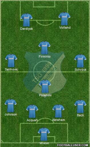 TSG 1899 Hoffenheim Formation 2013