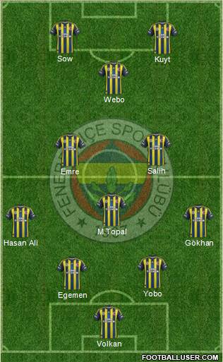 Fenerbahçe SK Formation 2013