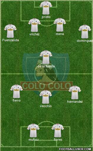 CSD Colo Colo Formation 2013