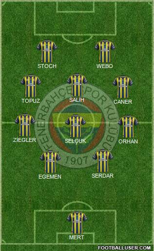 Fenerbahçe SK Formation 2013