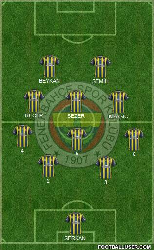 Fenerbahçe SK Formation 2013
