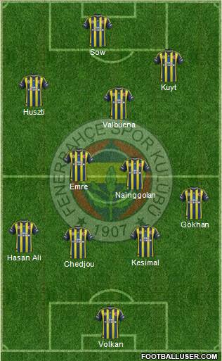 Fenerbahçe SK Formation 2013
