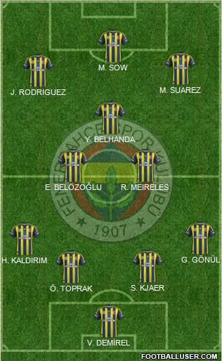 Fenerbahçe SK Formation 2013