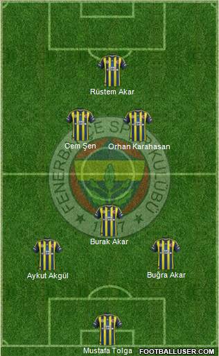 Fenerbahçe SK Formation 2013