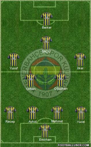 Fenerbahçe SK Formation 2013