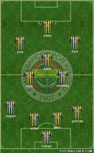 Fenerbahçe SK Formation 2013
