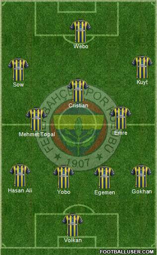 Fenerbahçe SK Formation 2013