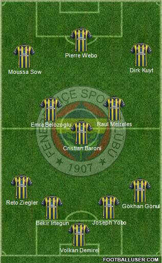 Fenerbahçe SK Formation 2013