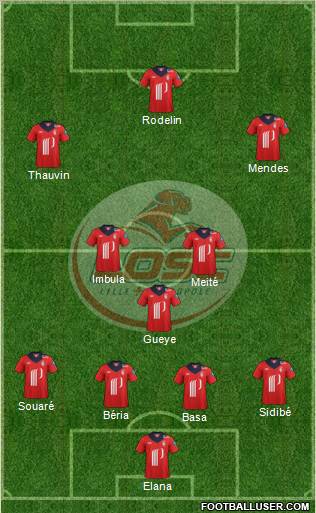 LOSC Lille Métropole Formation 2013