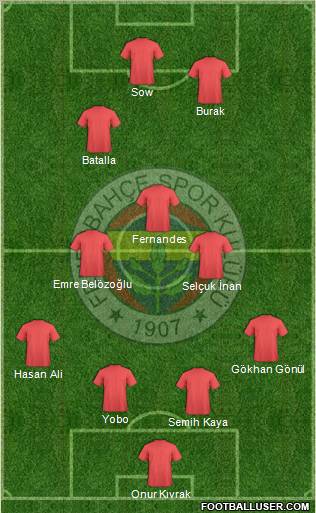 Fenerbahçe SK Formation 2013