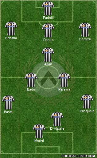 Udinese Formation 2013